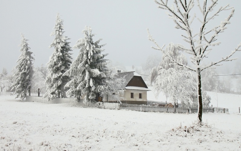 Roženecké Paseky