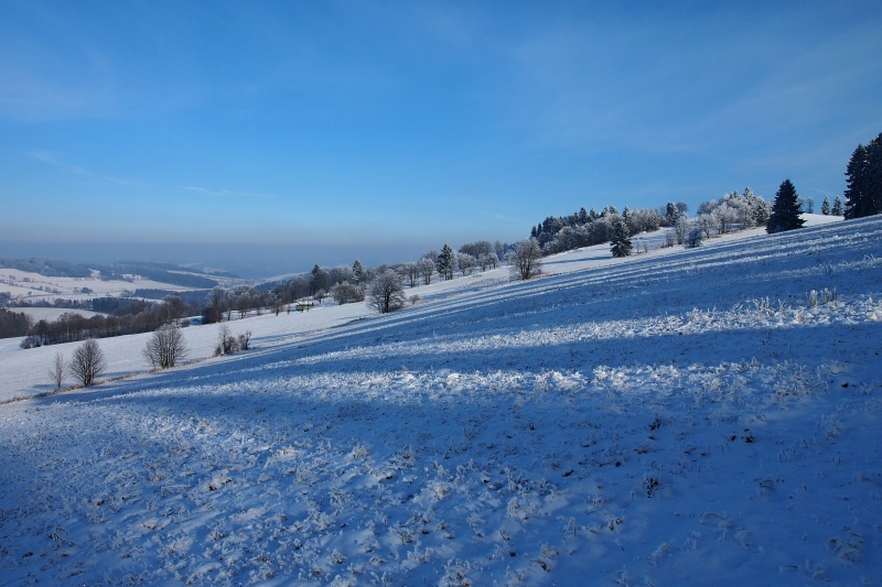 Roženecké Paseky