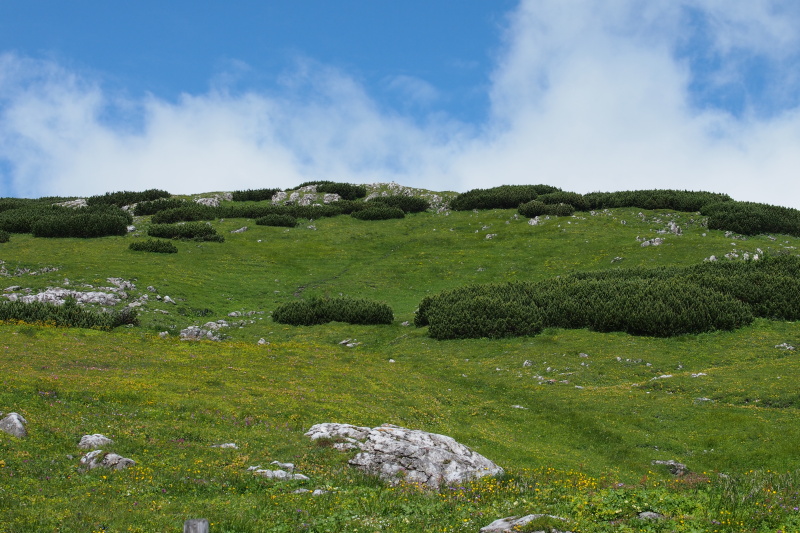 Schneeberg